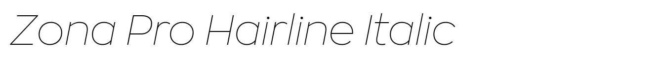 Zona Pro Hairline Italic